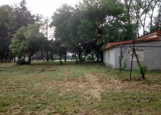 OPORTUNIDAD! VENTA 8 LOTES EN ZAVALLA UNA CUADRA DE LA RUTA AL LADO DEL CLUB ITALIANO FACULTAD DE AGRONOMIA