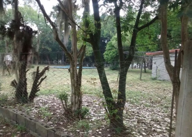 OPORTUNIDAD! VENTA 8 LOTES EN ZAVALLA UNA CUADRA DE LA RUTA AL LADO DEL CLUB ITALIANO FACULTAD DE AGRONOMIA