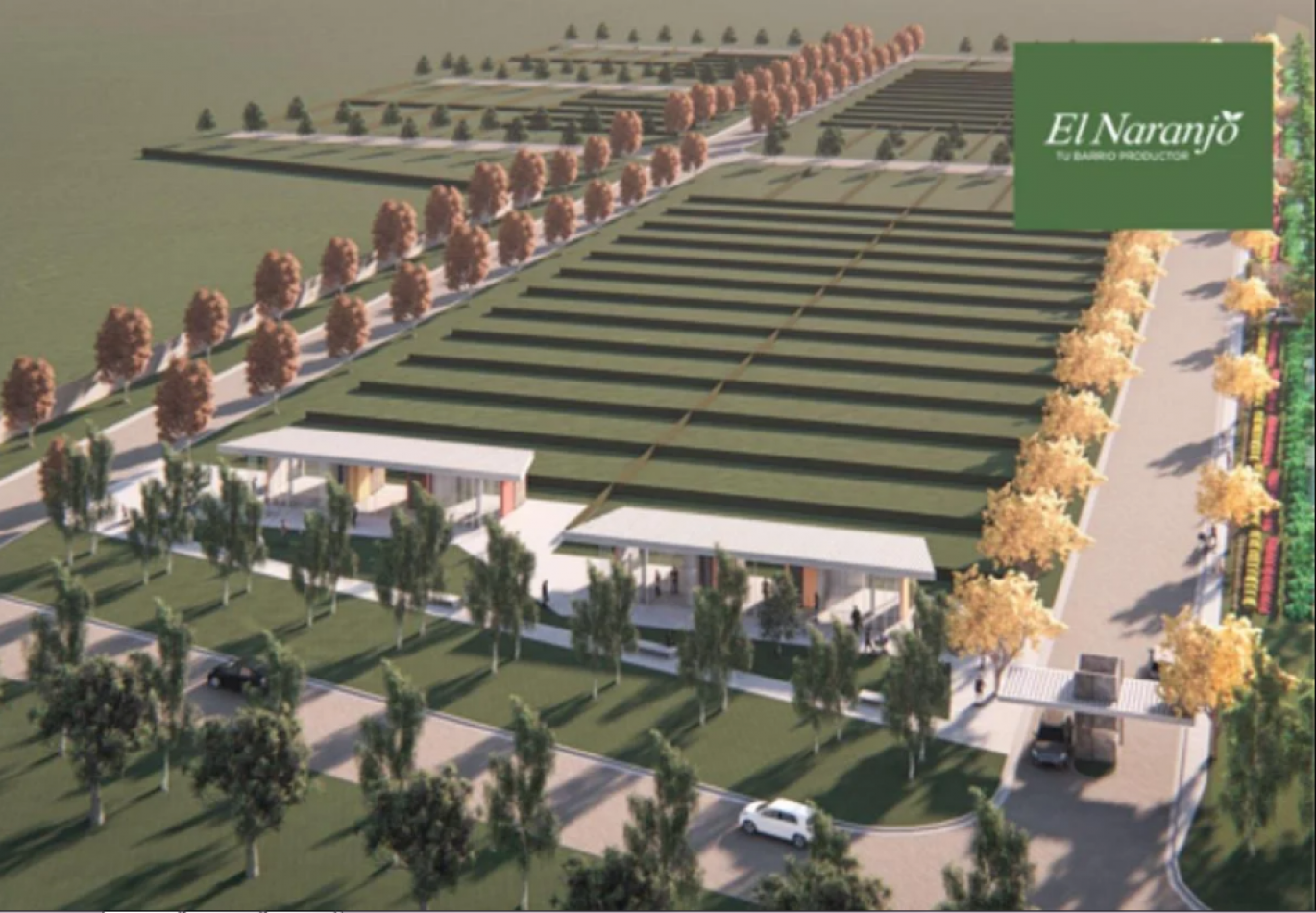 LOTES EN VENTA IBARLUCEA